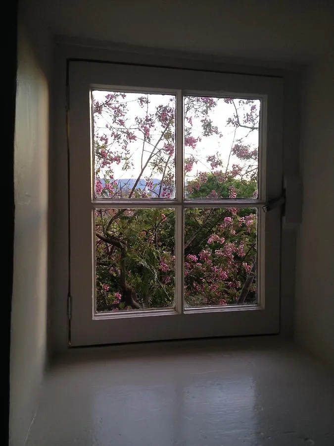 호바트 Blue Magnolia 빌라 0*,